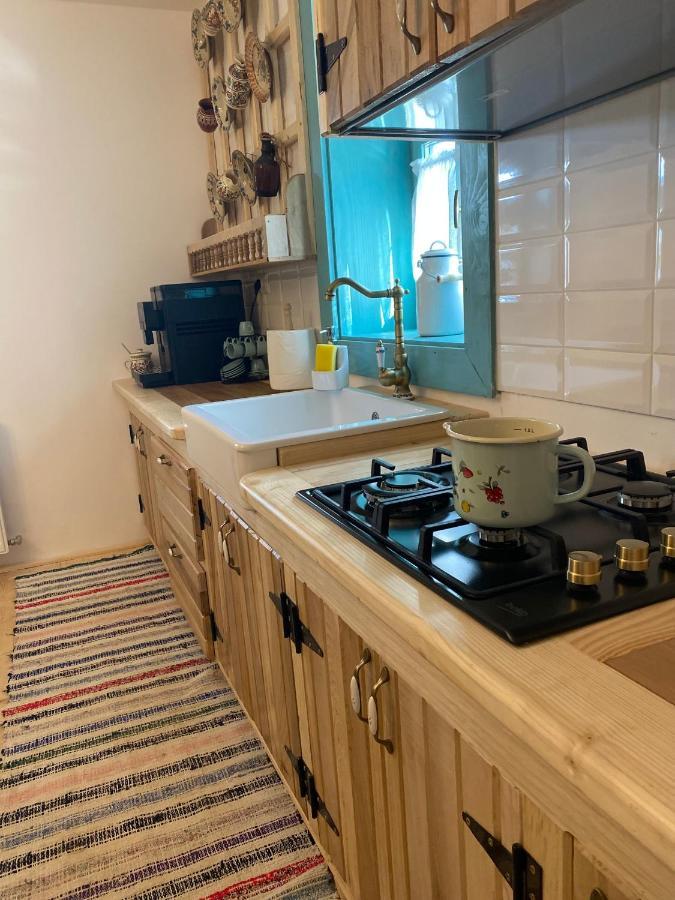 La Bujda Lu Mosu Villa Borşa Dış mekan fotoğraf
