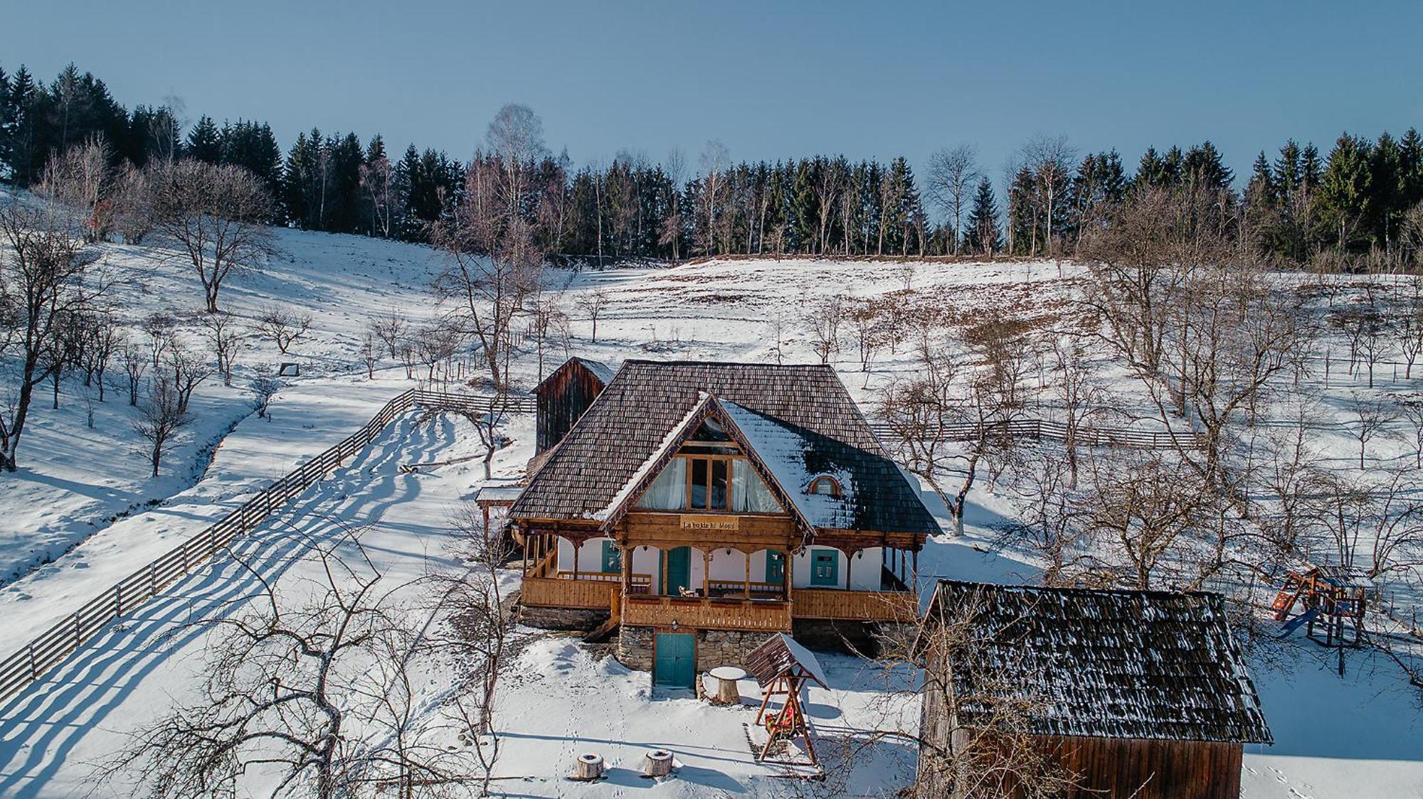 La Bujda Lu Mosu Villa Borşa Dış mekan fotoğraf